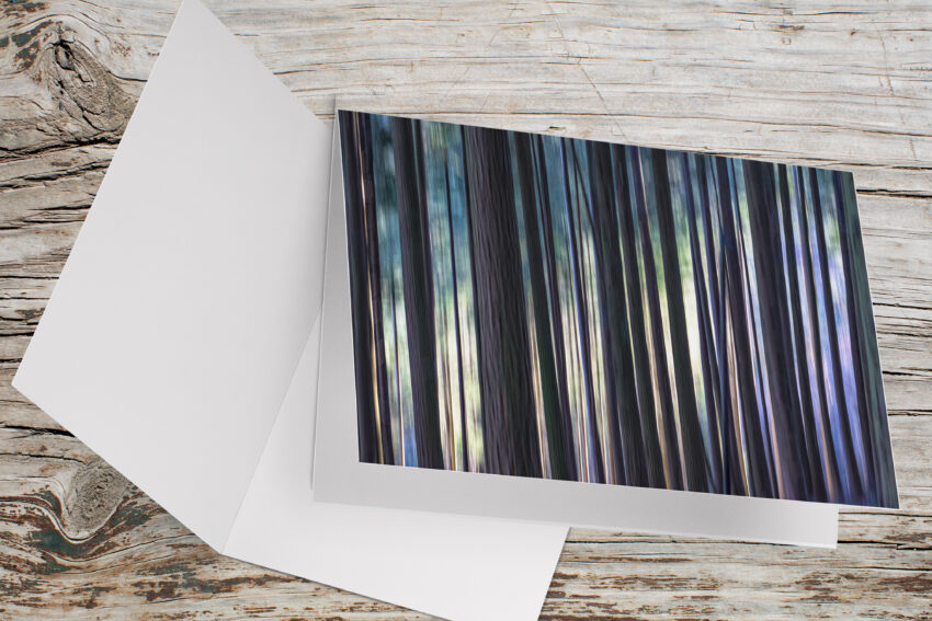 Carte Double Format 17x11.5cm avec enveloppe - Troncs d'arbres