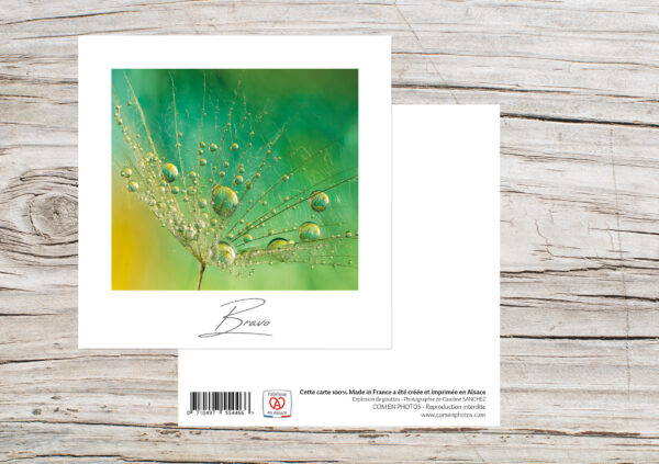 Carte Simple Format 12x12 cm avec enveloppe - Bravo