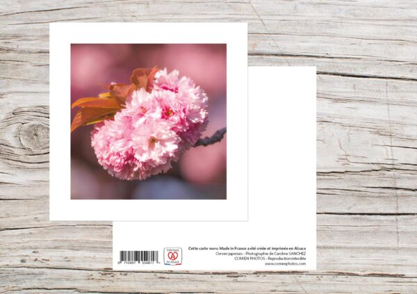 Carte Simple Format 12x12 cm avec enveloppe - Cerisier japonais