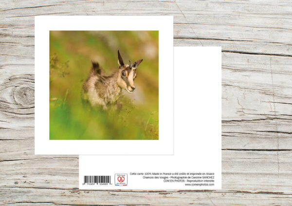 Carte Simple Format 12x12 cm avec enveloppe - Chamois
