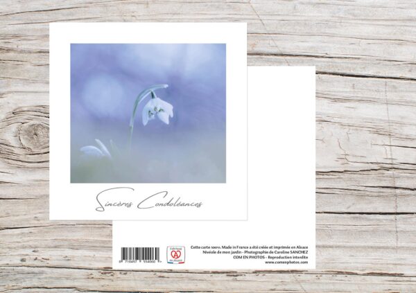 Carte Simple Format 12x12 cm avec enveloppe - Sincères condoléances - Nivéole
