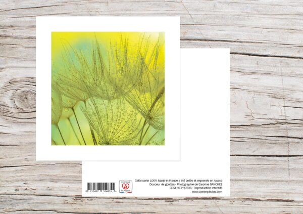 Carte Simple Format 12x12 cm avec enveloppe - Goutte verte