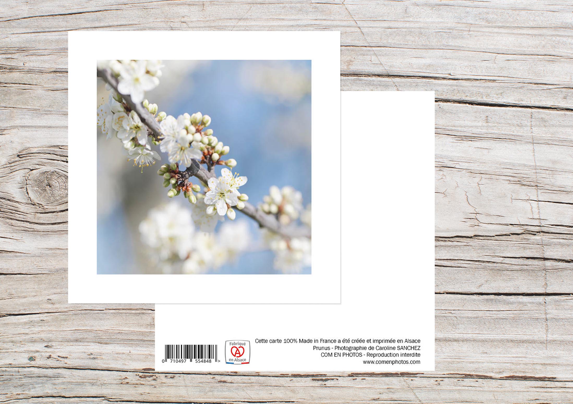 Carte Simple Format 12x12 cm avec enveloppe - Prunus