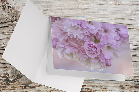 Carte Double Format 17x11.5cm avec enveloppe - Cerisier Japonais