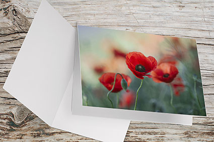 Carte Double Format 17x11.5cm avec enveloppe - Tendres coquelicots