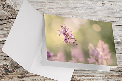 Carte Double Format 17x11.5cm avec enveloppe - Orchidées au lever du jour