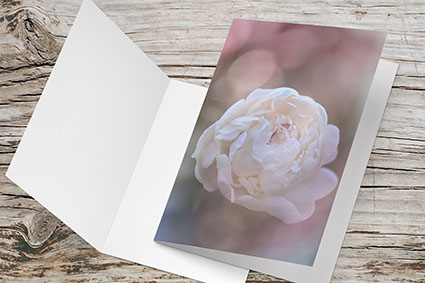 Carte Double Format 17x11.5cm avec enveloppe - Pivoine