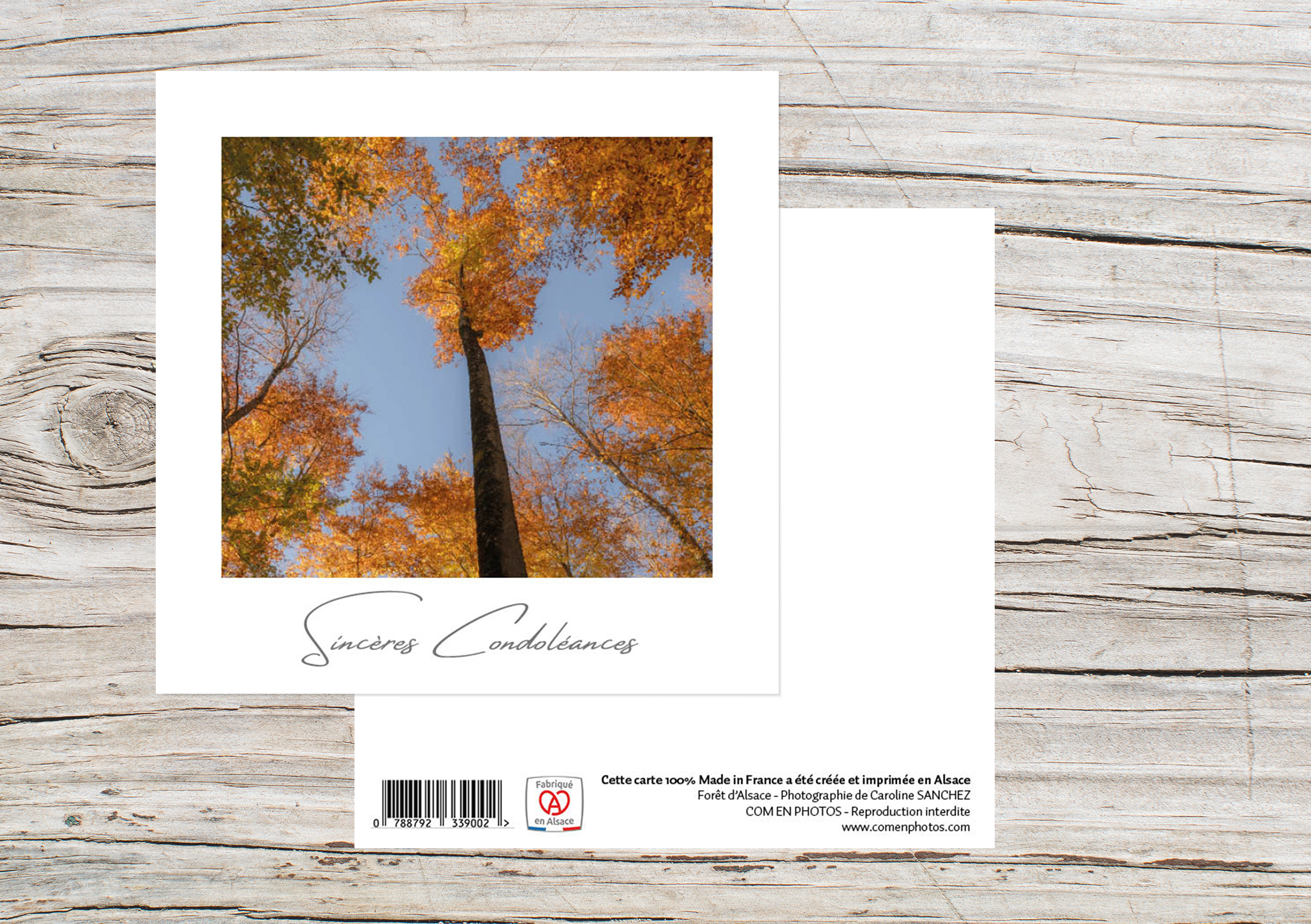 Carte Simple Format 12x12 cm avec enveloppe - Sincères condoléances - Arbres