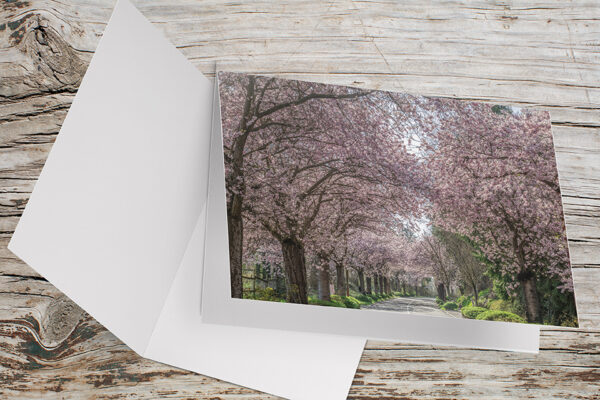 Carte Double Format 17×11.5cm avec enveloppe - Allée de cerisiers Bartenheim