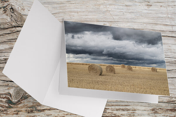 Carte Double Format 17x11.5cm avec enveloppe - Champs de blé