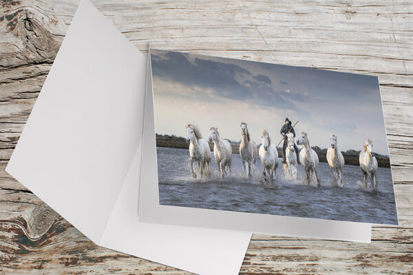 Carte Double Format 17×11.5cm avec enveloppe - Chevaux de Camargue