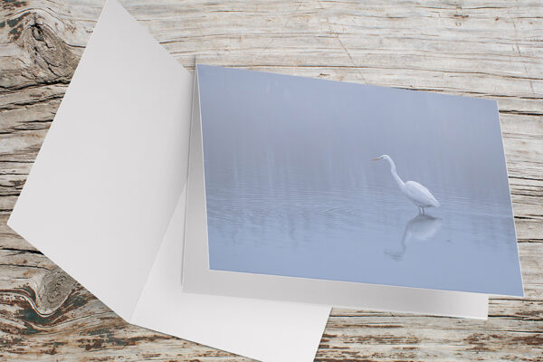 Carte Double Format 17×11.5cm avec enveloppe - Aigrette