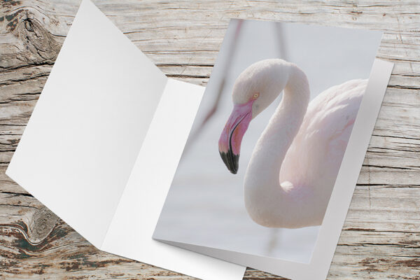 Carte Double Format 17x11.5cm avec enveloppe - Flamant rose
