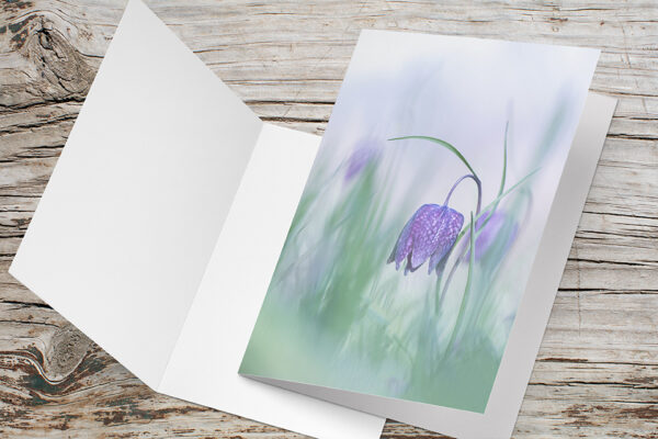Carte Double Format 17×11.5cm avec enveloppe - Fritillaire