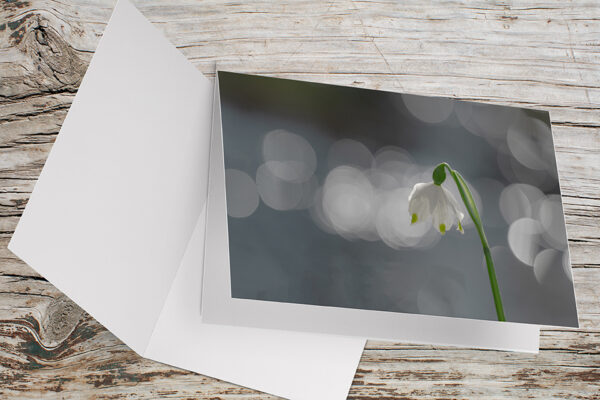 Carte Double Format 17×11.5cm avec enveloppe - Nivéoles