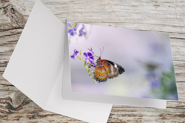 Carte Double Format 17x11.5cm avec enveloppe - Coucher du soleil Bernwiller (Copie) (Copie)