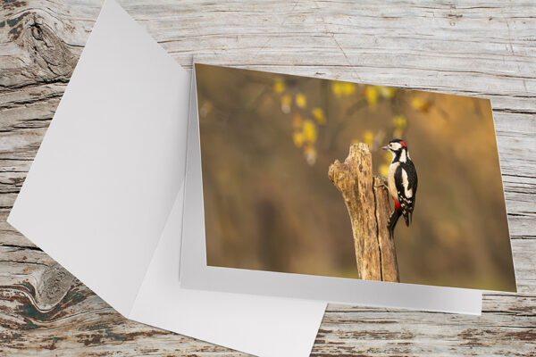 Carte Double Format 17×11.5cm avec enveloppe - Pic épeiche